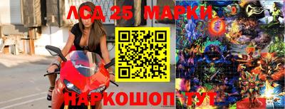 молекула духа Донецк