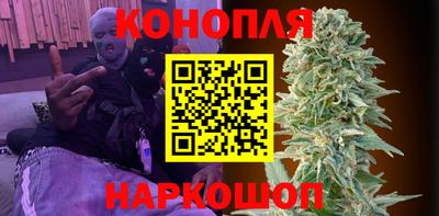 прущие грибы Заволжье