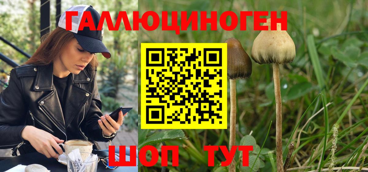 Бутурлиновка  дарнет шоп  Вход с VPN  Галлюциногенные грибы MAGIC MUSHROOMS 